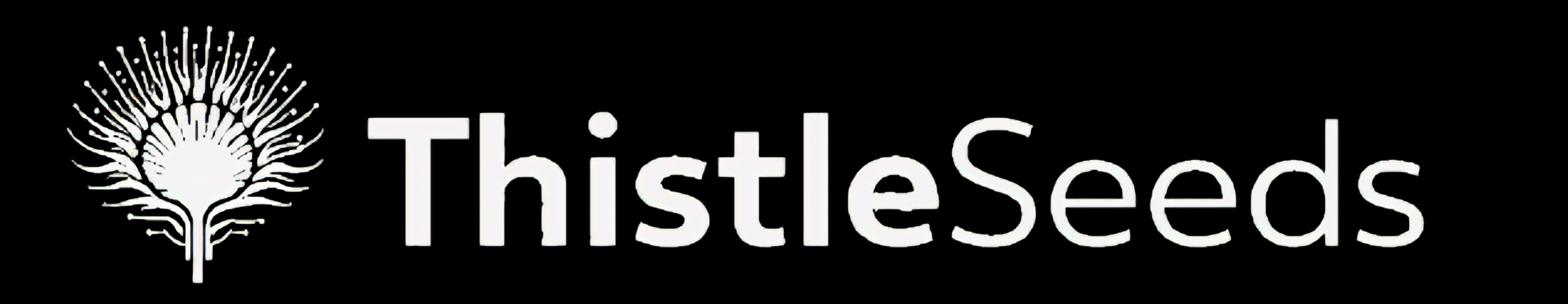 ThistleSeeds